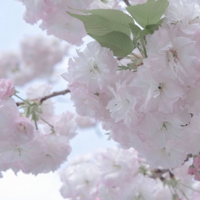 兽设比例设计入门兽圈社群